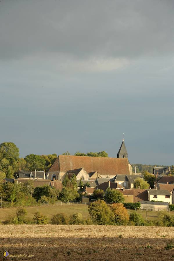 Nom de l'image : D30098952_1_(c)Norbert-JUNG — Description :